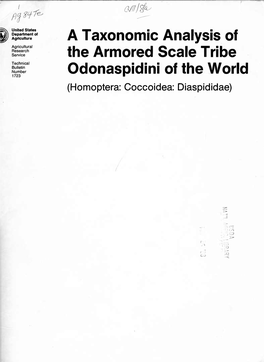 A Taxonomic Analysis of the Armored Scale Tribe Odonaspidini of the World