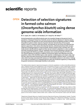 Detection of Selection Signatures in Farmed Coho Salmon (Oncorhynchus Kisutch) Using Dense Genome‑Wide Information M