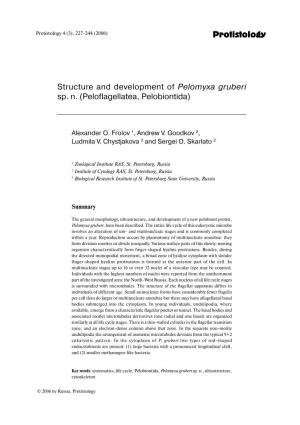 Protistology Structure and Development of Pelomyxa Gruberi