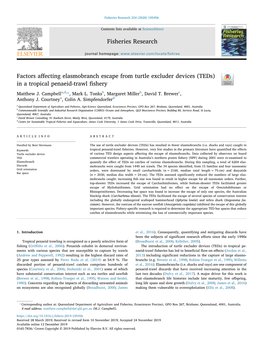 Factors Affecting Elasmobranch Escape from Turtle Excluder Devices
