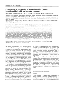 Cytogenetics of Two Species of Paratelmatobius (Anura: Leptodactylidae), with Phylogenetic Comments LUCIANA B