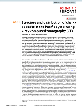 Structure and Distribution of Chalky Deposits in the Pacific Oyster Using