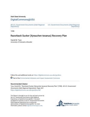 Razorback Sucker (Xyrauchen Texanus) Recovery Plan