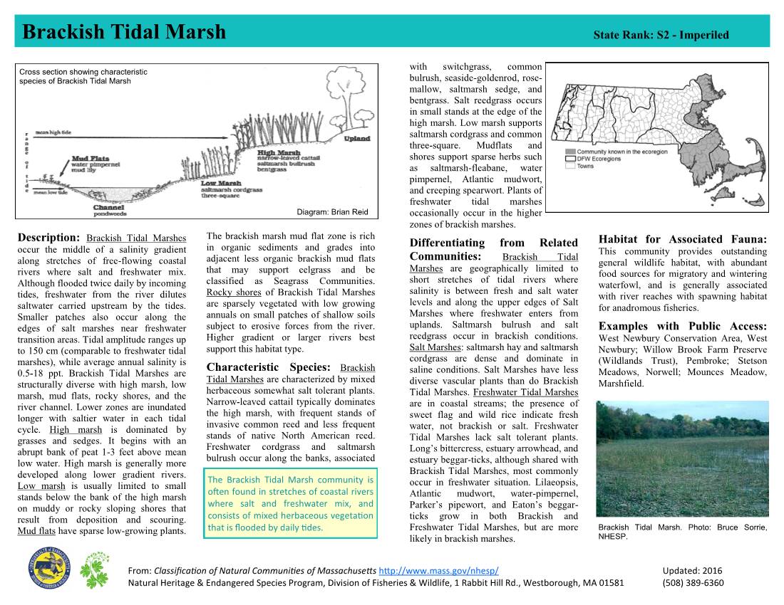 Brackish Tidal Marsh State Rank: S2 - Imperiled