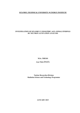M.Sc. THESIS JANUARY 2015 INVESTIGATION of ISTANBUL's