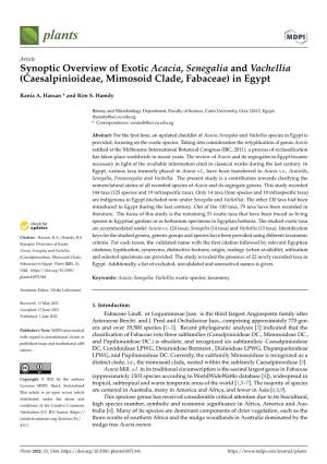 Synoptic Overview of Exotic Acacia, Senegalia and Vachellia (Caesalpinioideae, Mimosoid Clade, Fabaceae) in Egypt