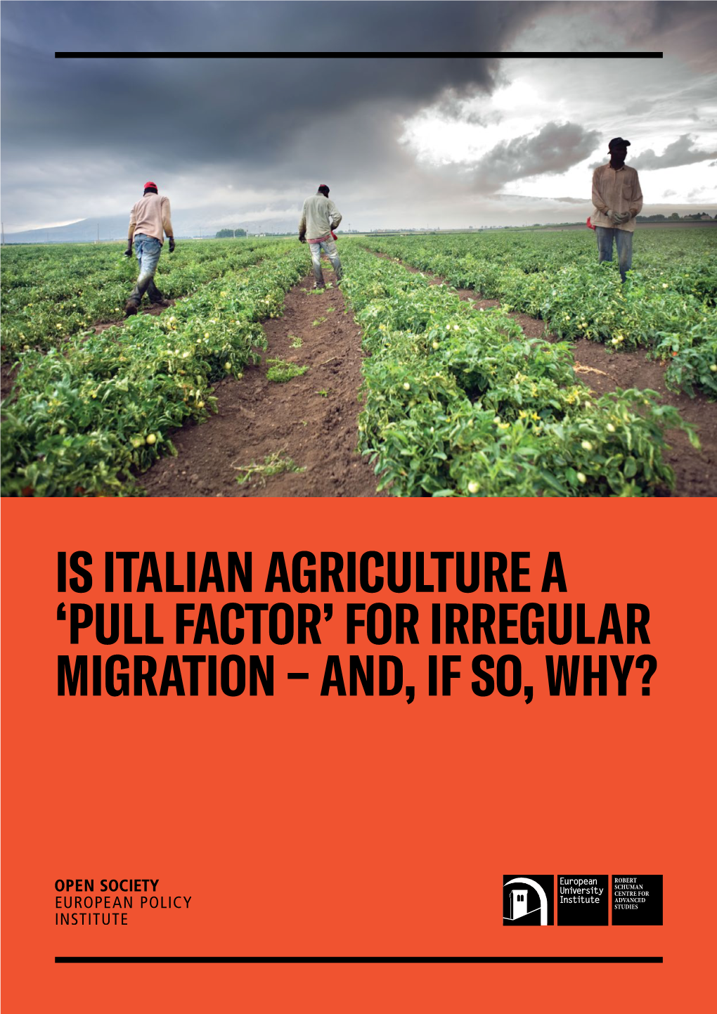 Is Italian Agriculture a 'Pull Factor' for Irregular Migration - And, If So, Why? December 2018