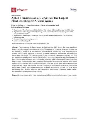 Aphid Transmission of Potyvirus: the Largest Plant-Infecting RNA Virus Genus