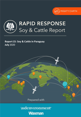 Special Report Paraguay Report 15: Soy & Cattle in Paraguay July 2020