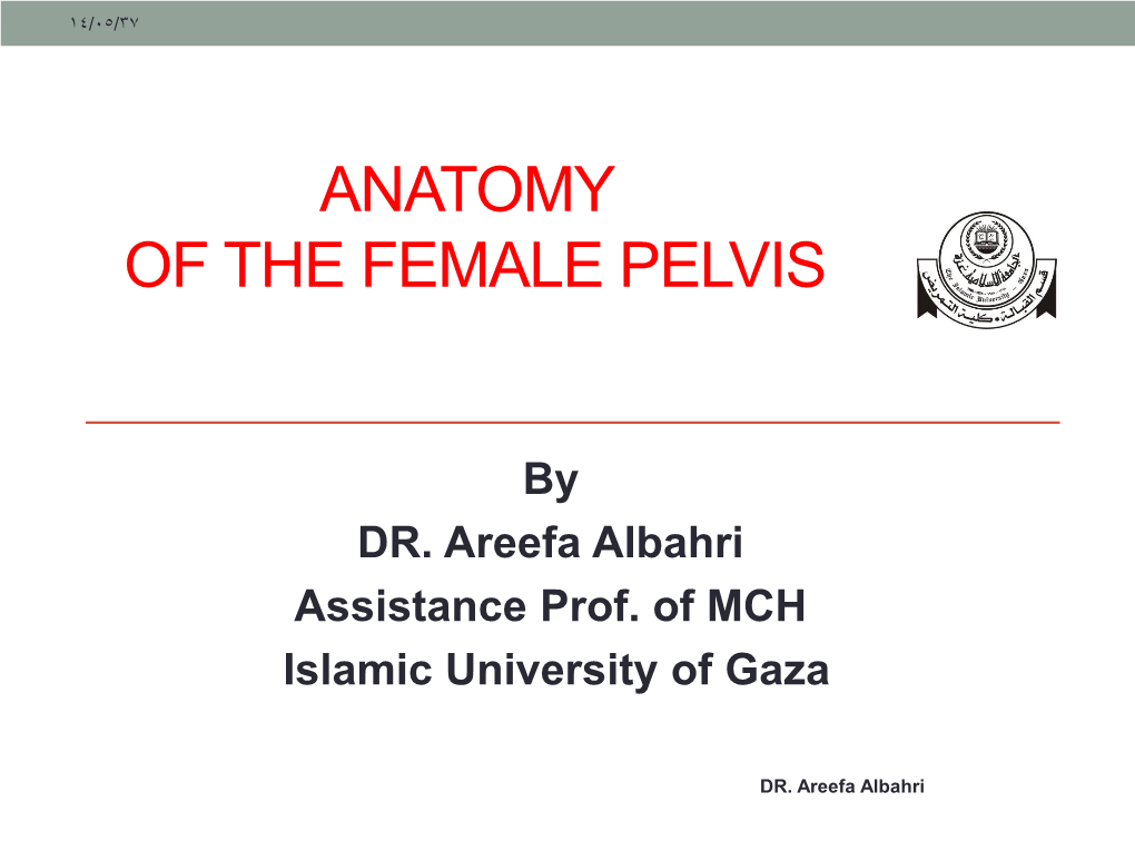 anatomy-of-the-female-reproductive-system-docslib