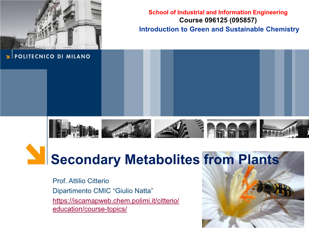 Secondary Metabolites from Plants