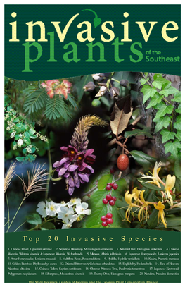 Invasive Plants of the Southeast Flyer