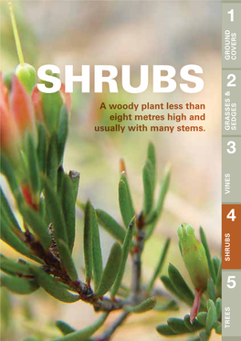SHRUBS 2 a Woody Plant Less Than Eight Metres High and GRASSES & & GRASSES Usually with Many Stems