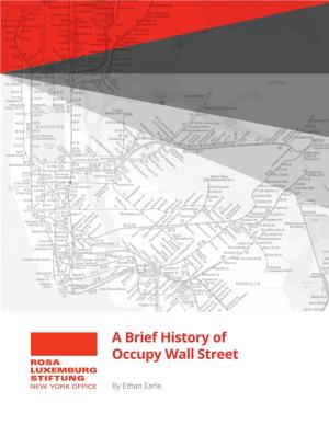 A Brief History of Occupy Wall Street ROSA LUXEMBURG STIFTUNG NEW YORK OFFICE by Ethan Earle Table of Contents