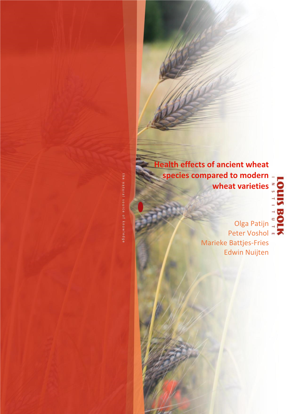 Health Effects of Ancient Wheat Species Varieties Compared To