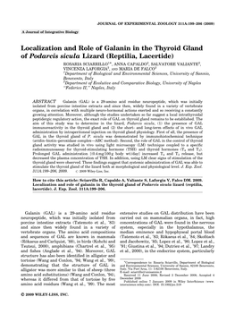 Localization and Role of Galanin in the Thyroid Gland of Podarcis Sicula Lizard