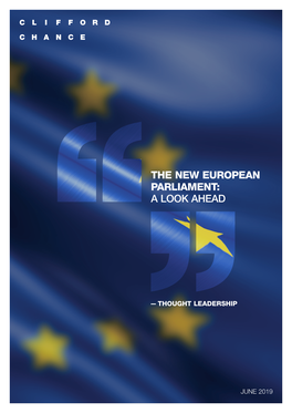 The New European Parliament: a Look Ahead
