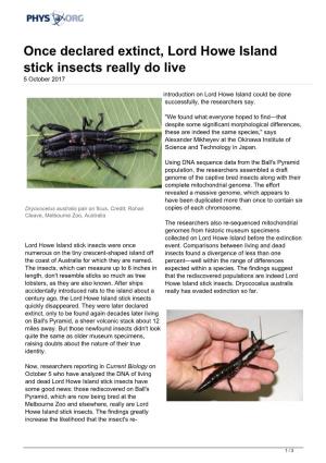 Once Declared Extinct, Lord Howe Island Stick Insects Really Do Live 5 October 2017