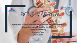 Bone Marrow.Pdf