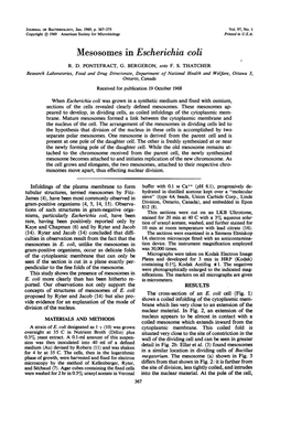 Mesosomes in Escherichia Coli R