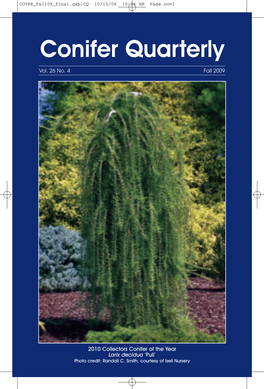 Conifer Quarterly