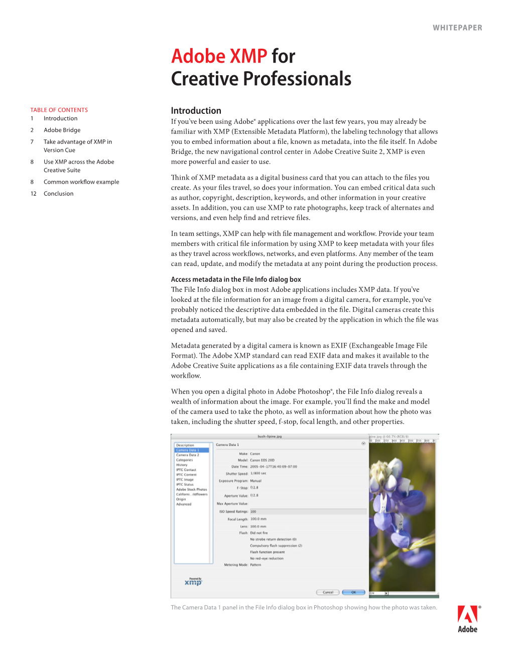 Adobe XMP for Creative Professionals