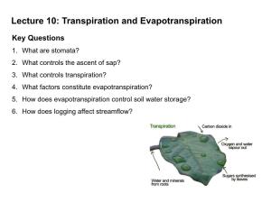 Lecture 10: Transpiration and Evapotranspiration