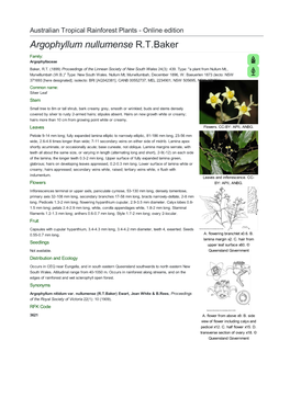 Argophyllum Nullumense R.T.Baker Family: Argophyllaceae Baker, R.T