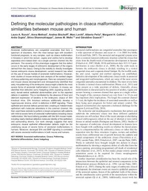 Defining the Molecular Pathologies in Cloaca Malformation: Similarities Between Mouse and Human Laura A