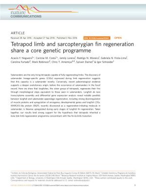 Tetrapod Limb and Sarcopterygian Fin Regeneration Share a Core Genetic