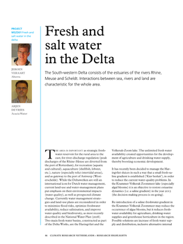 Fresh and Salt Water in the Delta