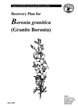 Boronia Granitica (Granite Boronia)