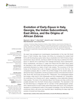 Evolution of Early Equus in Italy, Georgia, the Indian Subcontinent, East Africa, and the Origins of African Zebras