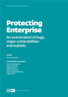 Protecting Enterprise an Examination of Bugs, Major Vulnerabilities and Exploits