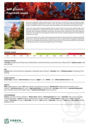 Acer Griseumgriseum Paperbarkpaperbark Maplemaple