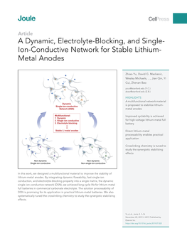Ion-Conductive Network for Stable Lithium- Metal Anodes