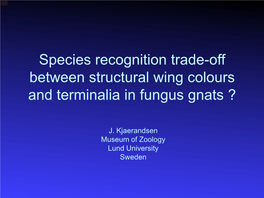 Kjaerandsen Sciaroidea WIP.Pdf