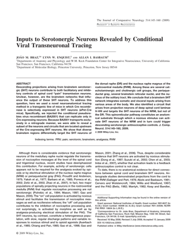 Inputs to Serotonergic Neurons Revealed by Conditional Viral Transneuronal Tracing