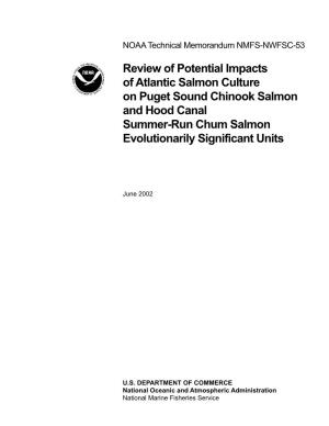 Review of Potential Impacts of Atlantic Salmon Culture on Puget Sound Chinook Salmon and Hood Canal Summer-Run Chum Salmon Evolutionarily Significant Units