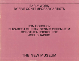 Dennis Oppenheim Dorothea Rockburne Joel Shapiro