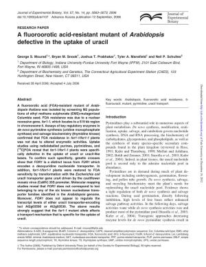 A Fluoroorotic Acid-Resistant Mutant of Arabidopsis Defective In