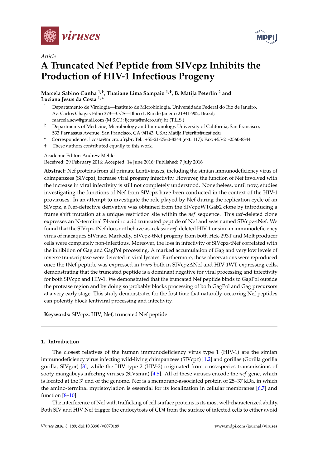 A Truncated Nef Peptide from Sivcpz Inhibits the Production of HIV-1 Infectious Progeny