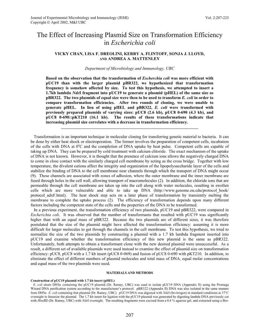 The Effect of Increasing Plasmid Size on Transformation Efficiency in Escherichia Coli