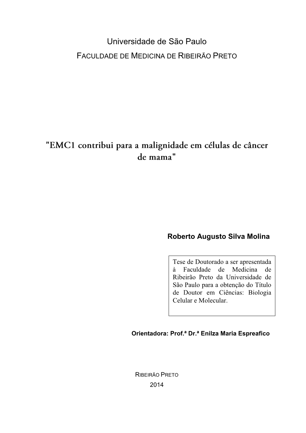 Tese Roberto Molina.Pdf