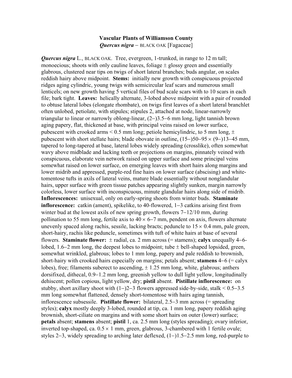 Vascular Plants of Williamson County Quercus Nigra − BLACK OAK [Fagaceae]