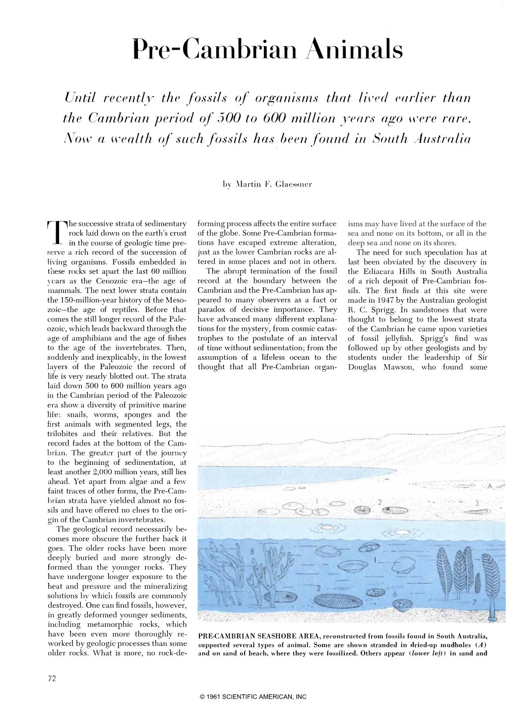 Pre-Cambrian Animals