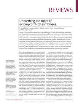 Unearthing the Roots of Ectomycorrhizal Symbioses
