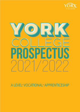 York College As Your Next Place to Study