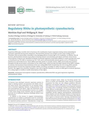 Regulatory Rnas in Photosynthetic Cyanobacteria Matthias Kopf and Wolfgang R