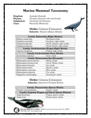 Marine Mammal Taxonomy